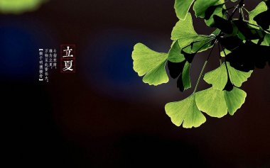 保健專(zhuān)家提示：夏季飲食低脂低鹽多吃果蔬