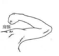 脖子酸、肩頸痛？按按這3處，輕松緩解！(圖3)