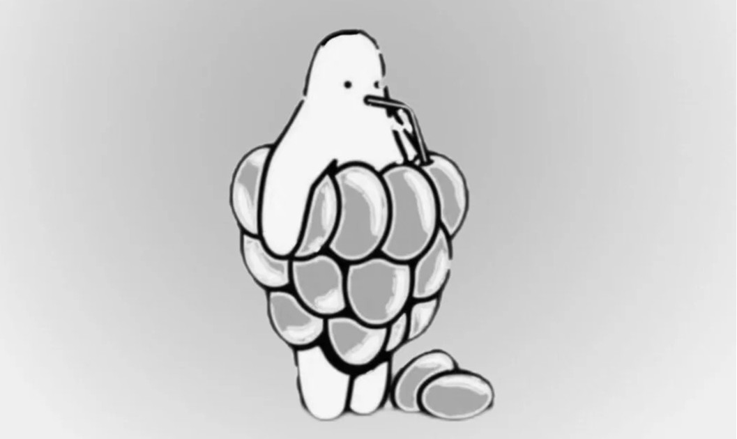 _1_小島今日要減肥（日更）_來自小紅書網(wǎng)頁版_副本.jpg