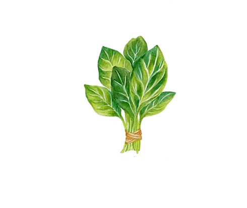 春天里的三吃三不吃！建議收藏_1_食療養(yǎng)生妙妙屋_來(lái)自小紅書(shū)網(wǎng)頁(yè)版_副本.jpg