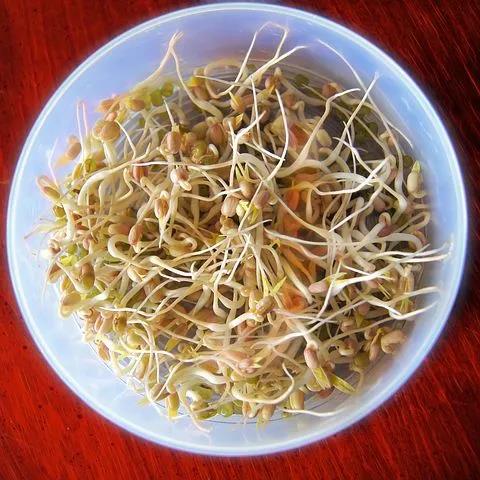 它被稱(chēng)為“活體蔬菜”養(yǎng)氣補(bǔ)血，春天吃好處多(圖1)